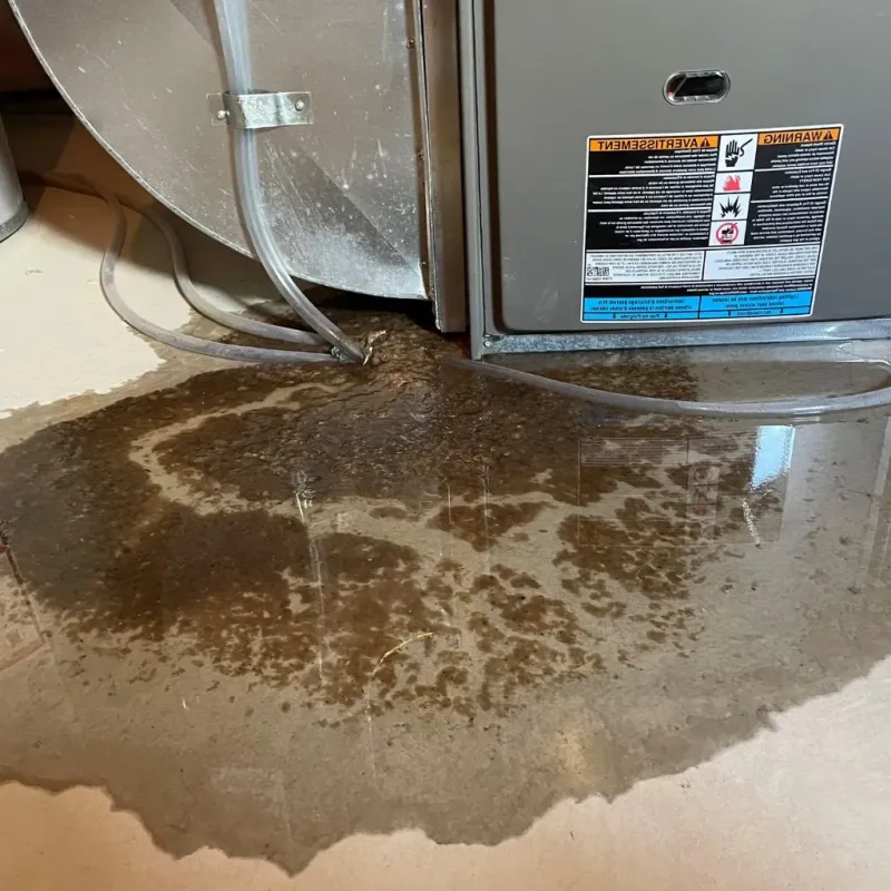 Pipe Burst and Leak Restoration in Brownsville, TN