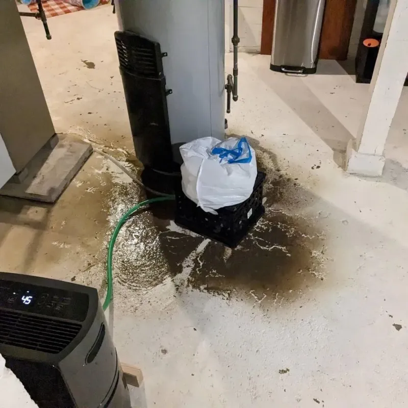Sewage Backup Cleanup Service in Brownsville, TN
